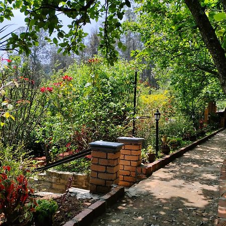 Pear Tree Entire 2Bhk Villa 科塔吉里 外观 照片
