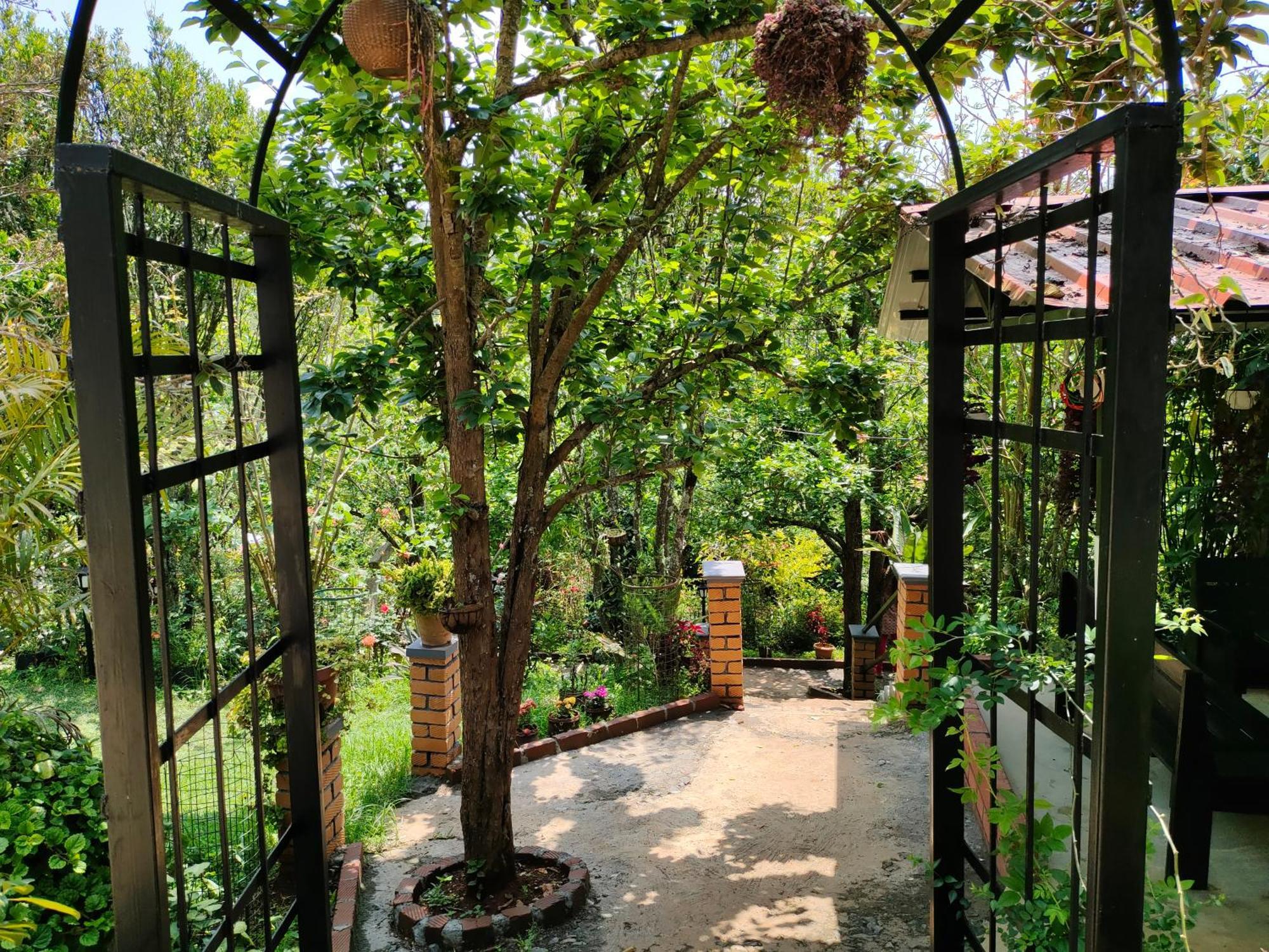 Pear Tree Entire 2Bhk Villa 科塔吉里 外观 照片