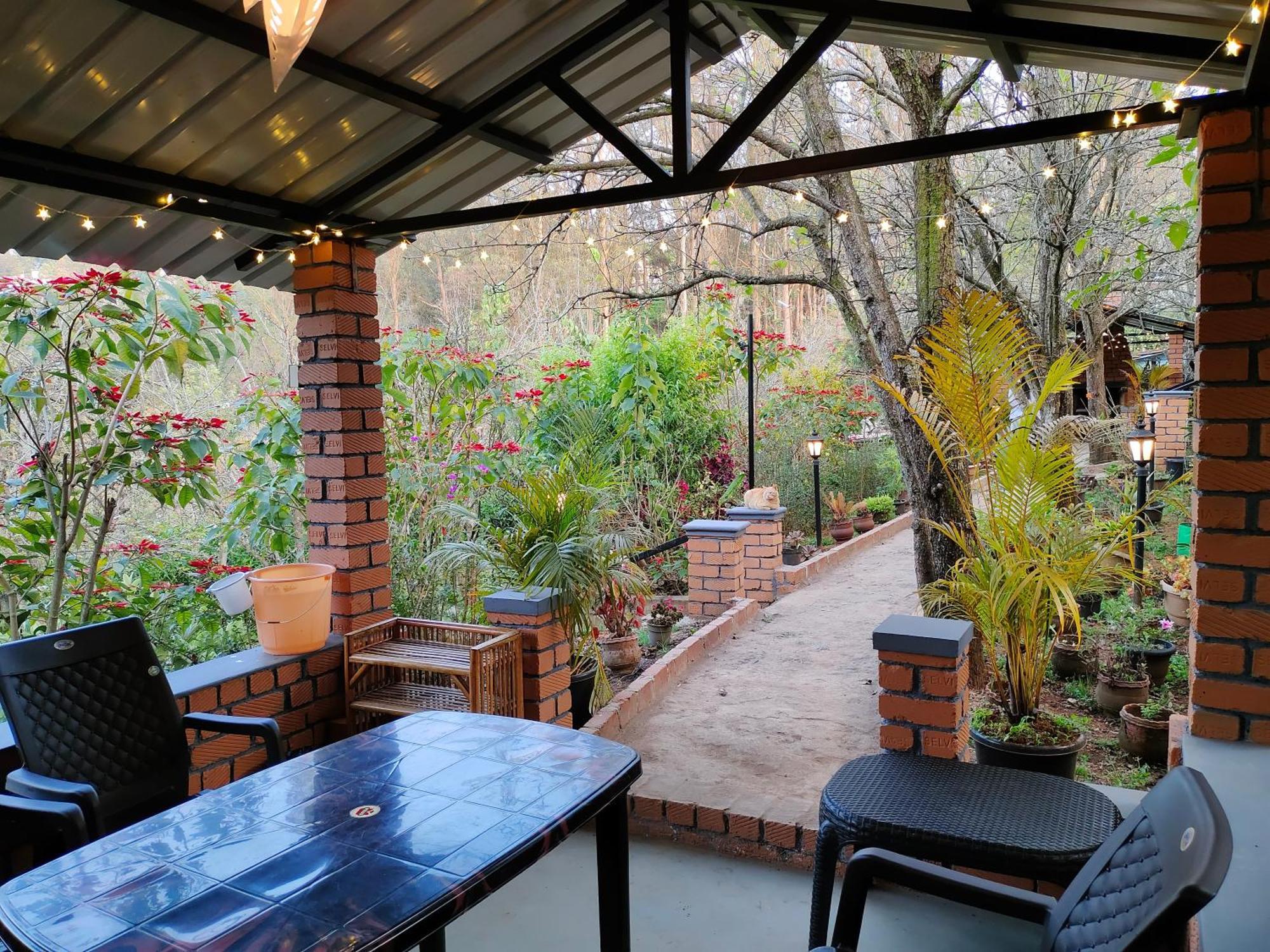 Pear Tree Entire 2Bhk Villa 科塔吉里 外观 照片