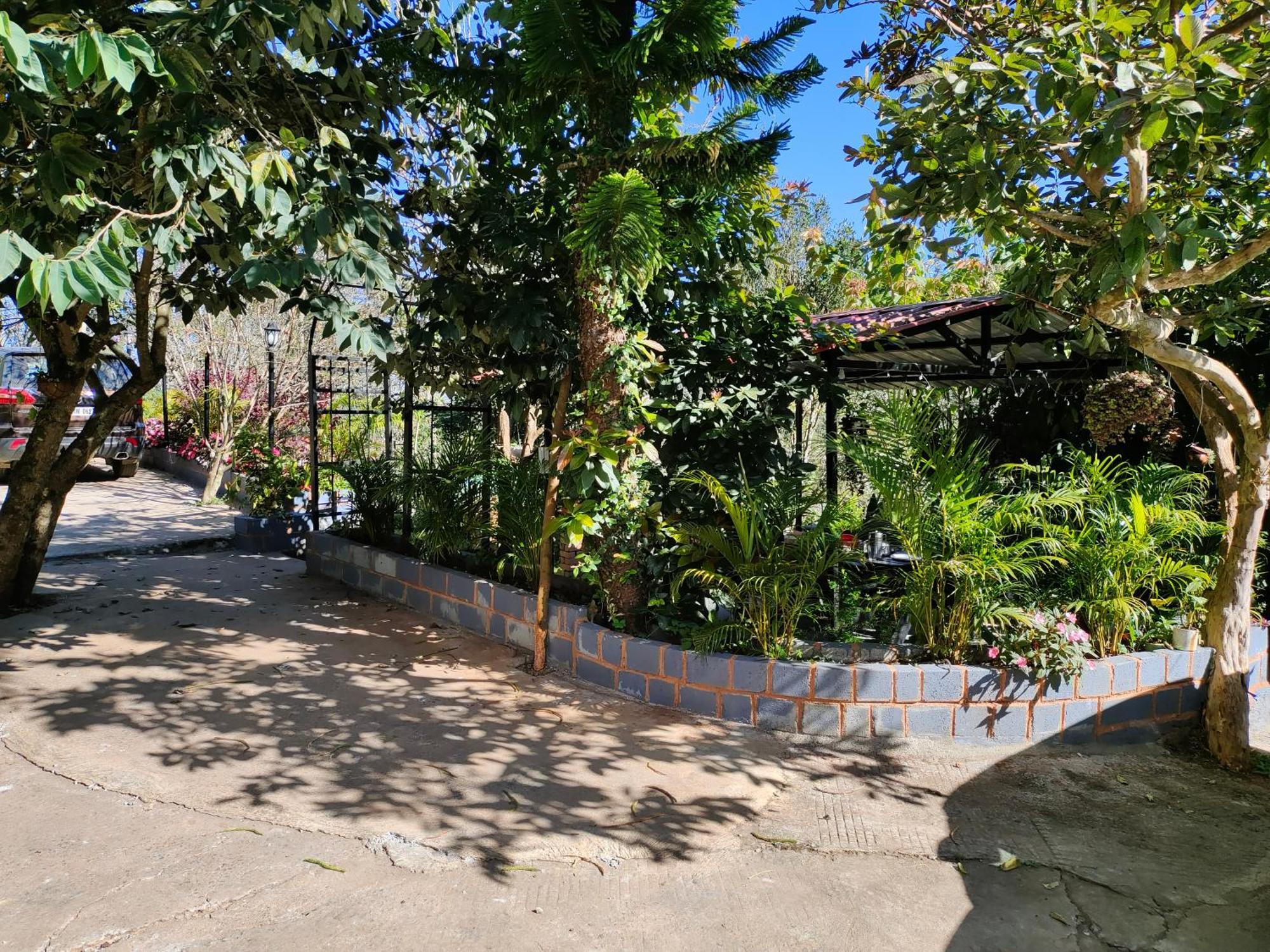 Pear Tree Entire 2Bhk Villa 科塔吉里 外观 照片