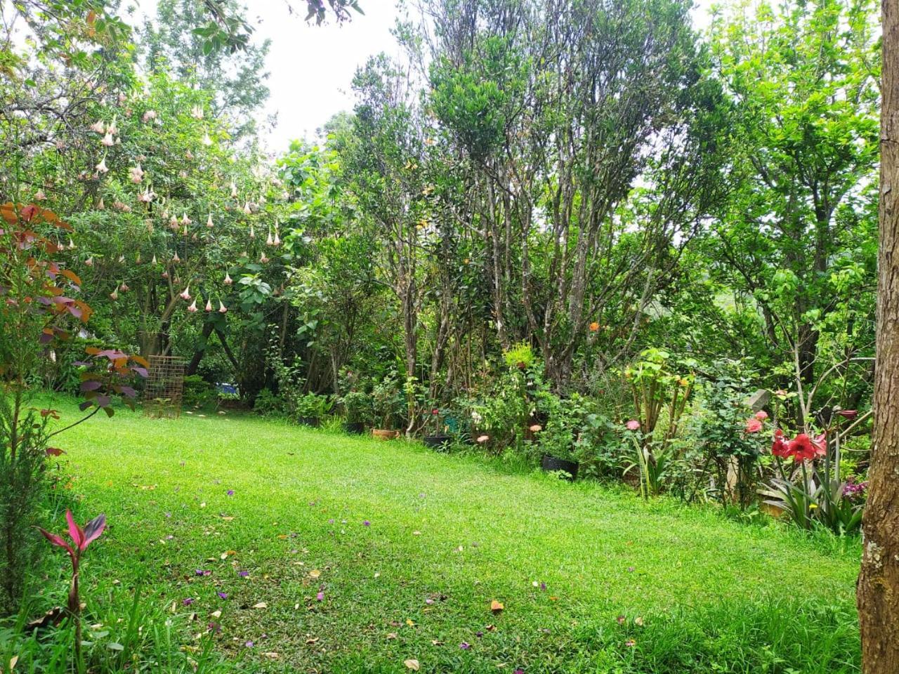 Pear Tree Entire 2Bhk Villa 科塔吉里 外观 照片