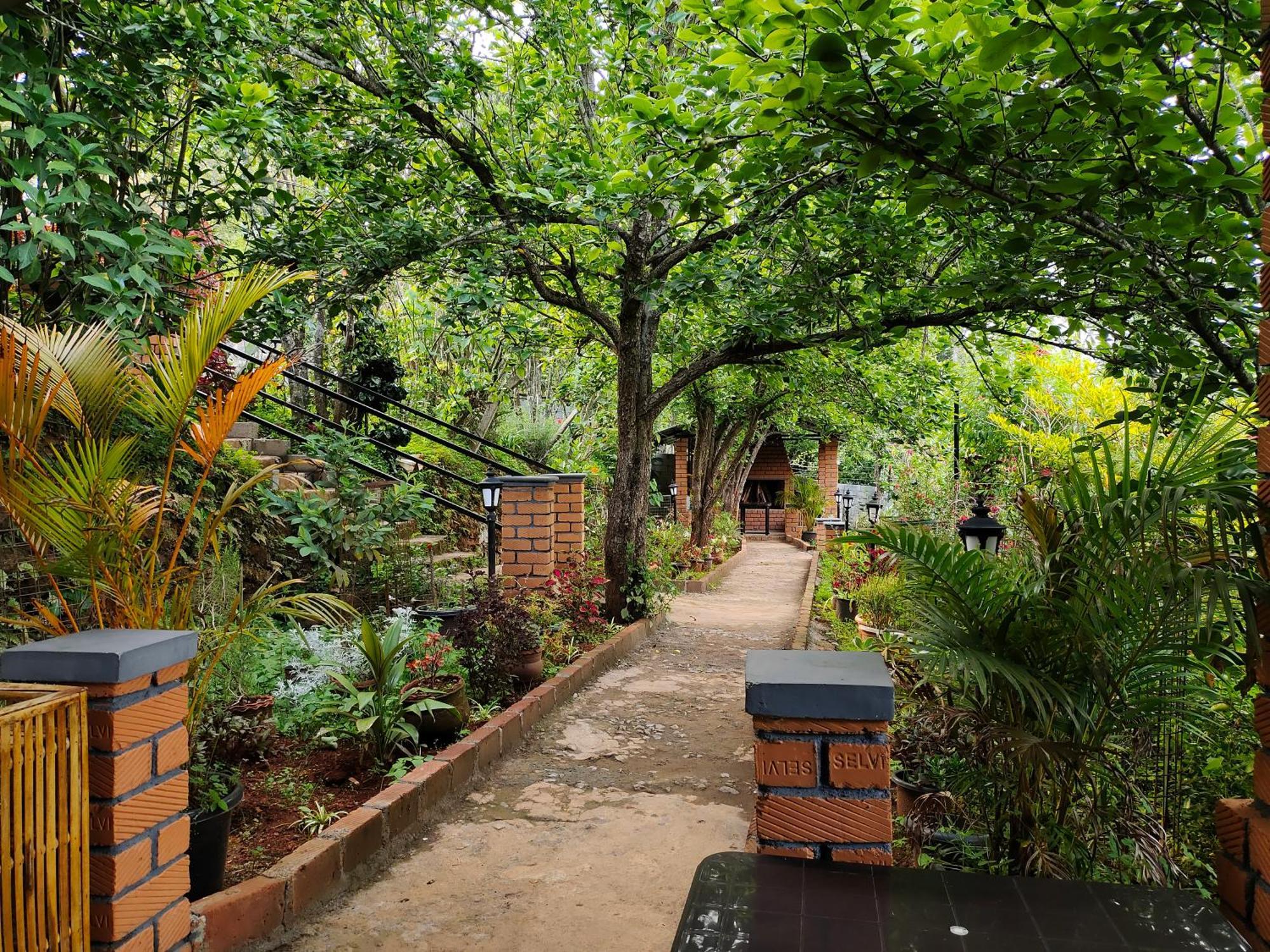 Pear Tree Entire 2Bhk Villa 科塔吉里 外观 照片